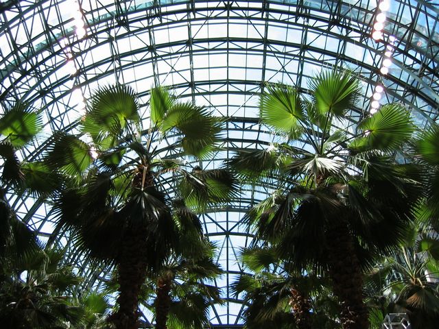 Palm Garden inside the World Financial Center