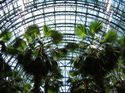 Palm Garden inside the World Financial Center