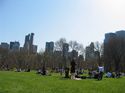 Beautiful green grass in Central Park