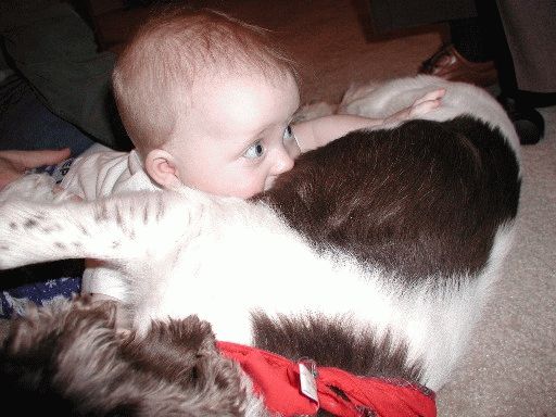 Alex Attacks Callie