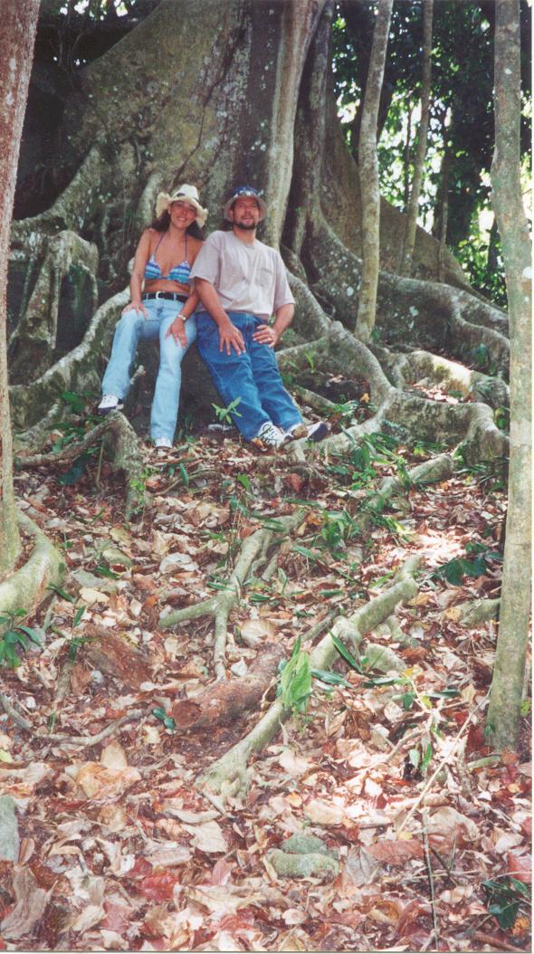 Kari and Christian beneath a giant Banyan Tree