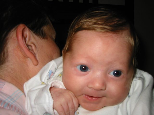 Little Cutie Pie