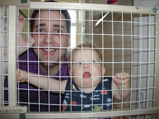 Jailbirds