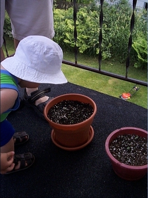 Owen's first plant.