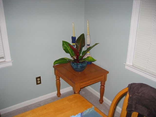 The Abads' New Home - One Year Later, photo 33