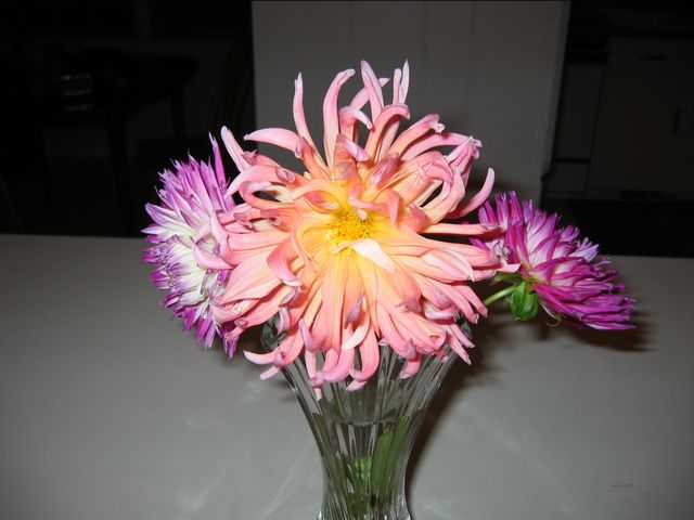 Macro Photography - Flowers, photo 45