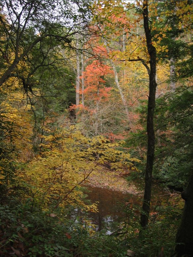 Camping at Turkey Pen Gap, photo 42
