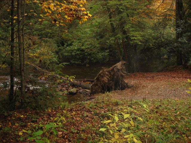 Camping at Turkey Pen Gap, photo 45