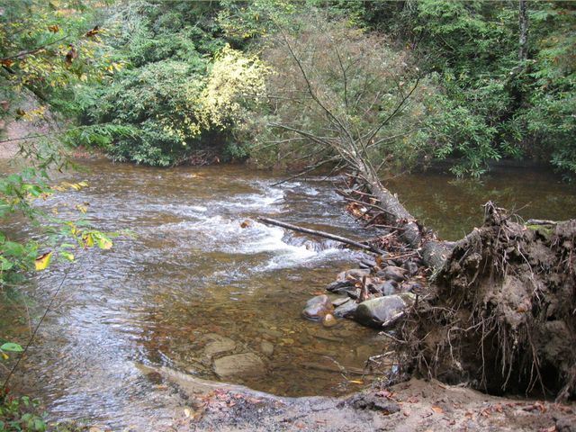 Camping at Turkey Pen Gap, photo 47