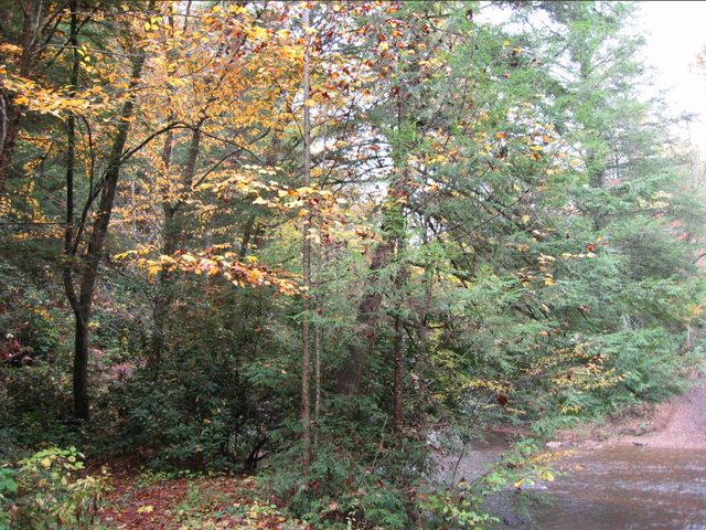 Camping at Turkey Pen Gap, photo 50