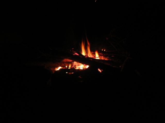 Camping at Turkey Pen Gap, photo 66