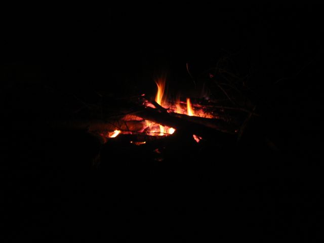 Camping at Turkey Pen Gap, photo 67