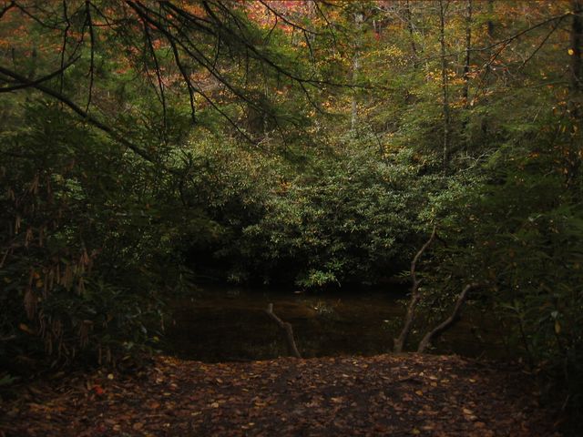 Camping at Turkey Pen Gap, photo 68