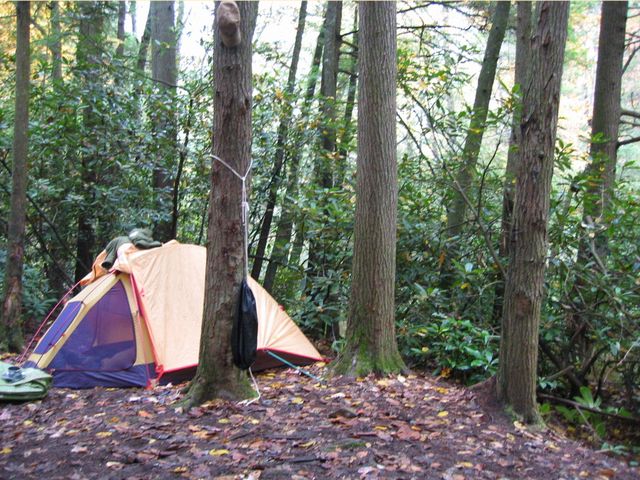 Camping at Turkey Pen Gap, photo 70