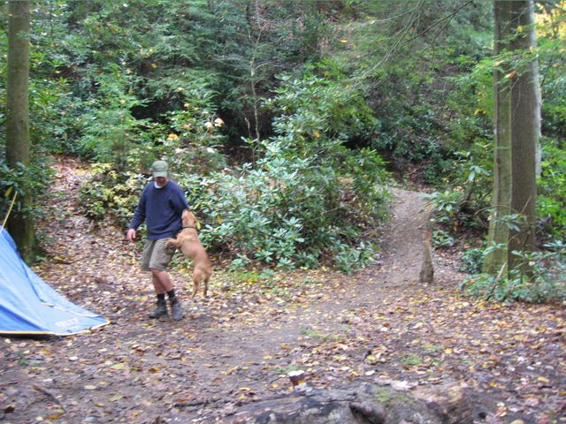 Camping at Turkey Pen Gap, photo 73