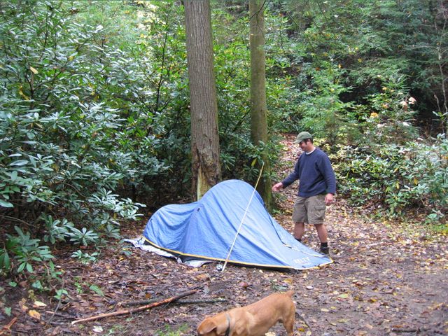 Camping at Turkey Pen Gap, photo 74