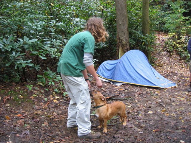 Camping at Turkey Pen Gap, photo 75