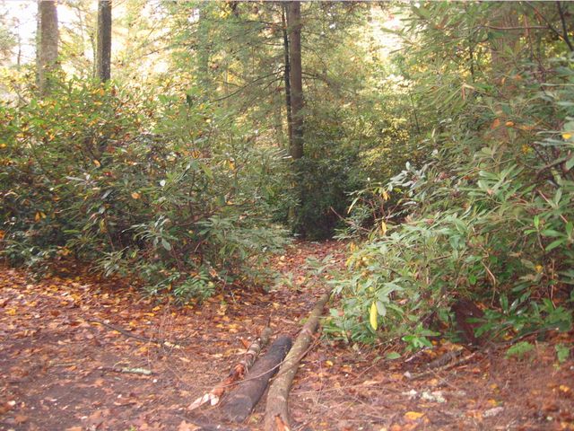 Camping at Turkey Pen Gap, photo 76