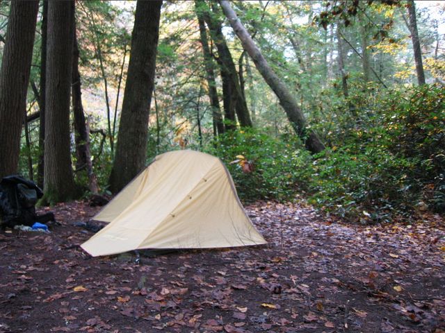 Camping at Turkey Pen Gap, photo 77
