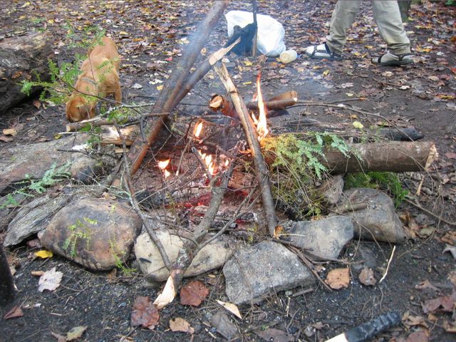 Camping at Turkey Pen Gap, photo 79