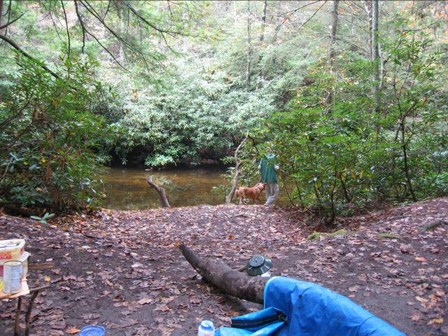 Camping at Turkey Pen Gap, photo 88