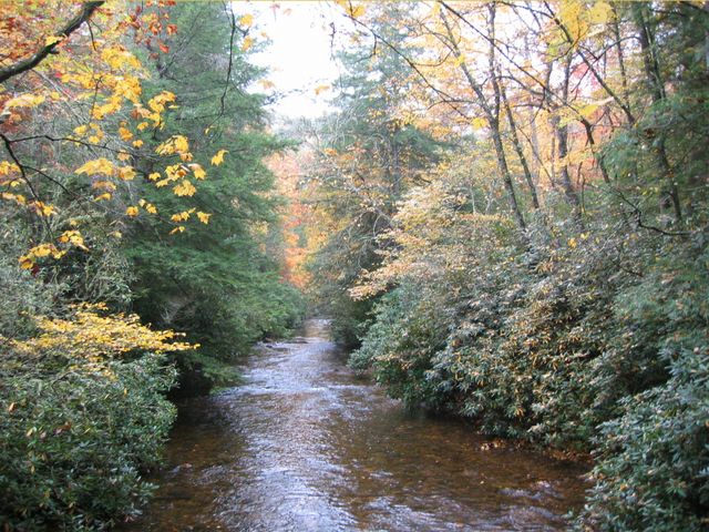 Camping at Turkey Pen Gap, photo 99