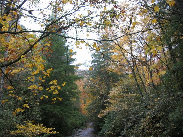 Camping at Turkey Pen Gap, photo 100