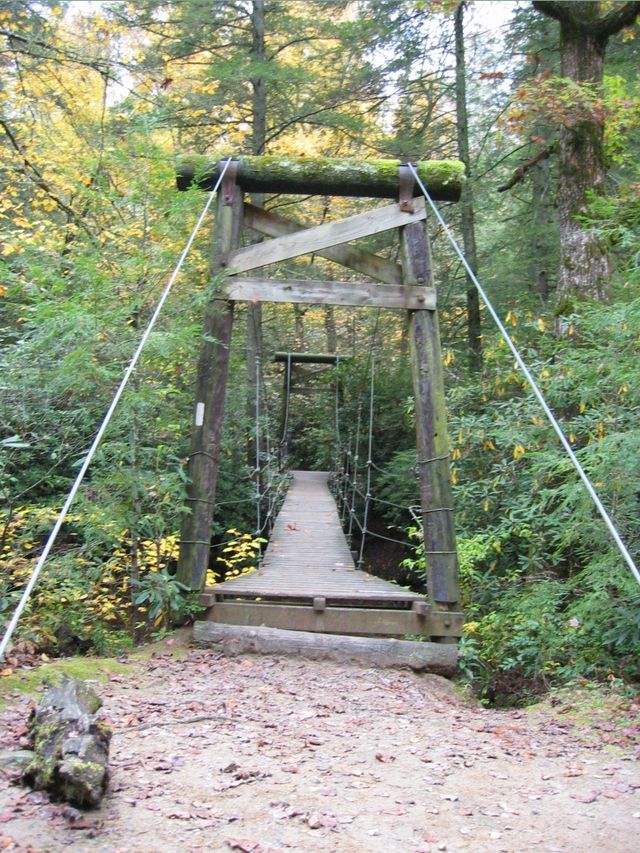 Camping at Turkey Pen Gap, photo 104