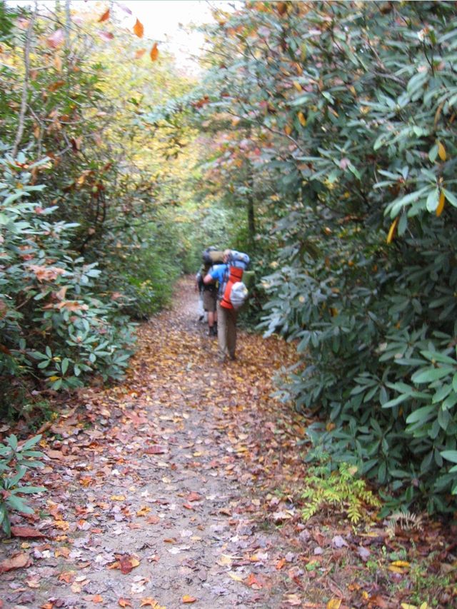 Camping at Turkey Pen Gap, photo 105