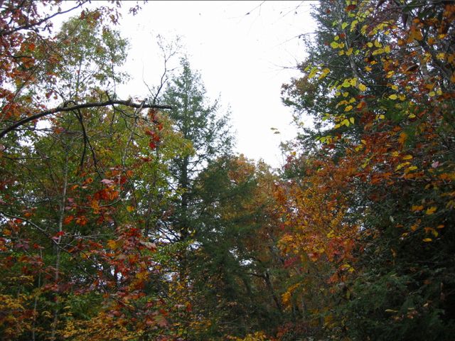 Camping at Turkey Pen Gap, photo 107