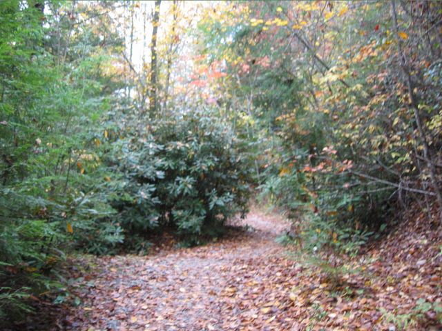 Camping at Turkey Pen Gap, photo 113