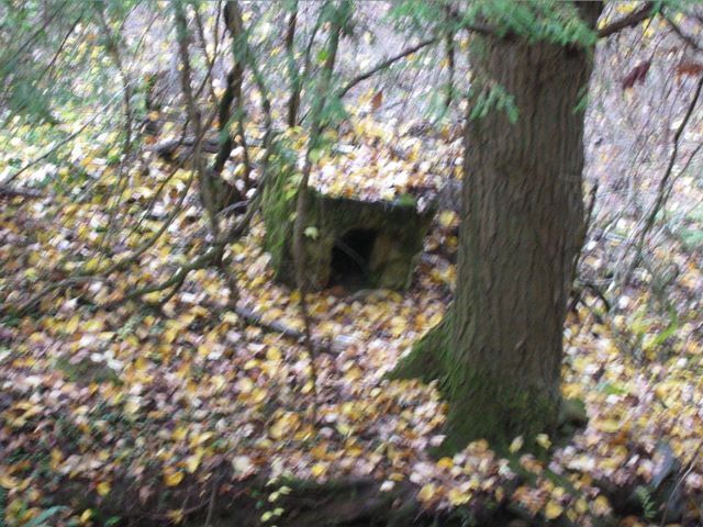 Camping at Turkey Pen Gap, photo 125