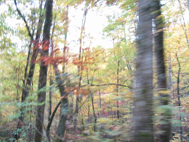 Camping at Turkey Pen Gap, photo 127