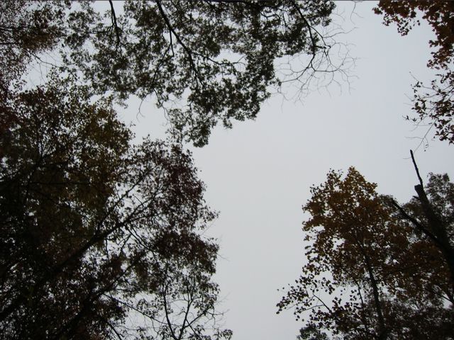 Camping at Turkey Pen Gap, photo 130