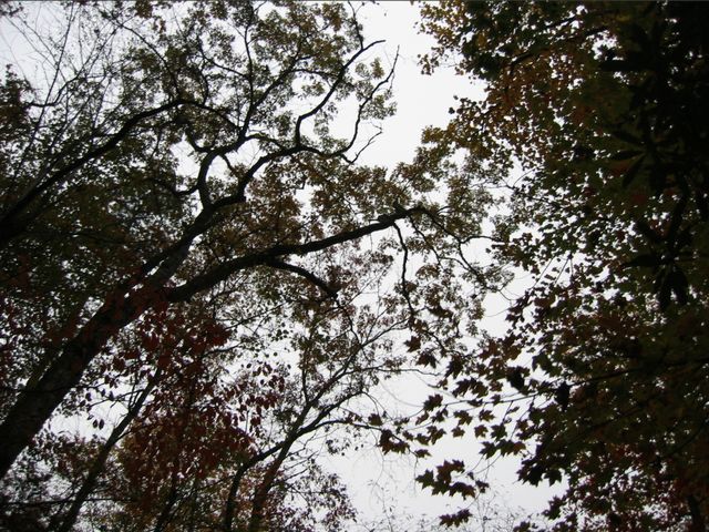 Camping at Turkey Pen Gap, photo 131