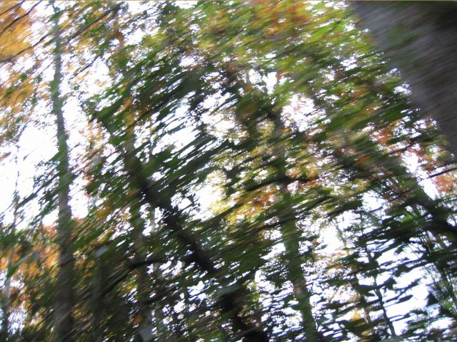 Camping at Turkey Pen Gap, photo 134