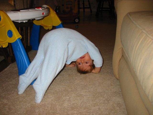 Little tumbler