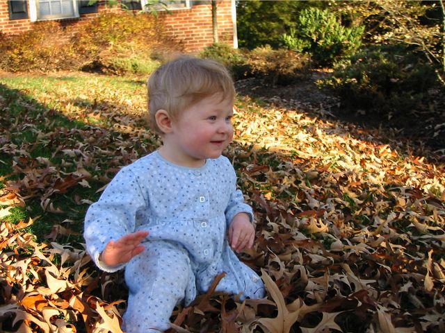 I love the leaves!