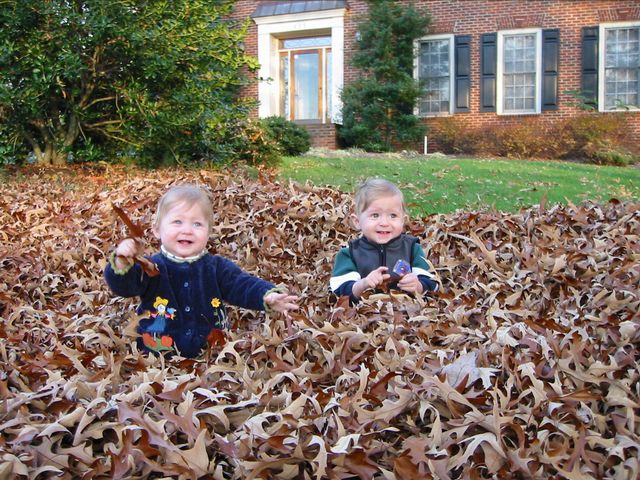 Fun together in the leaves!