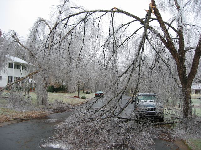 Winter Storm 2002, photo 12