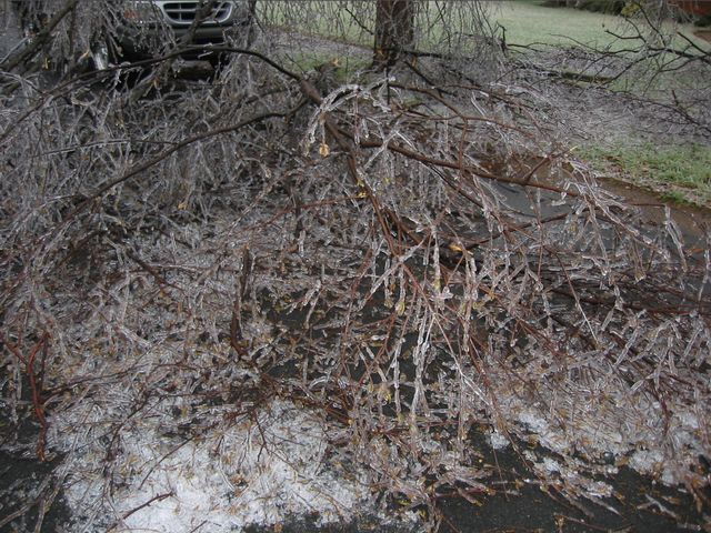Winter Storm 2002, photo 13