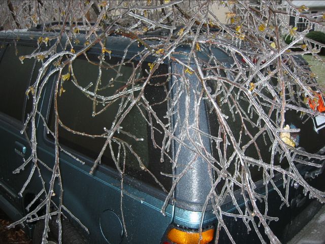Winter Storm 2002, photo 14
