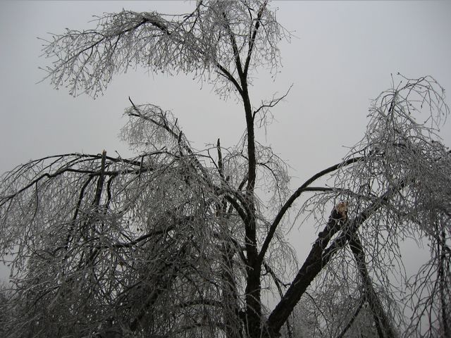 Winter Storm 2002, photo 16