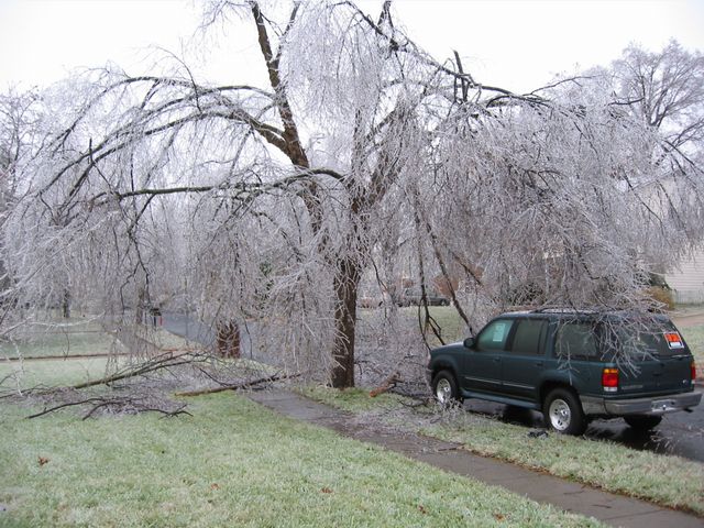 Winter Storm 2002, photo 17