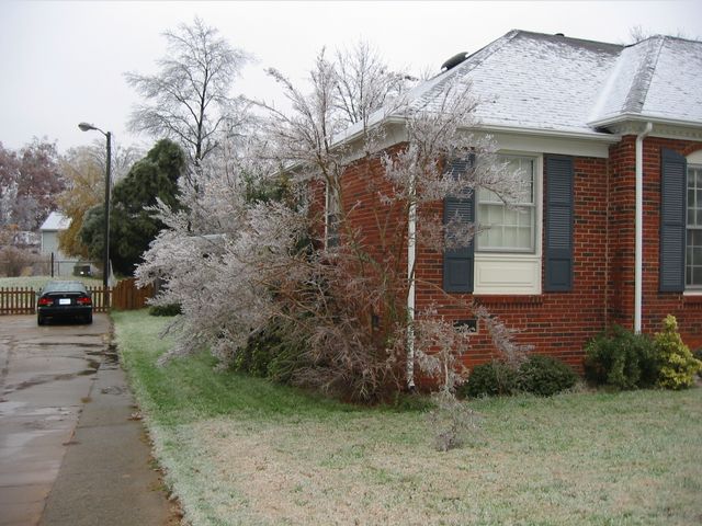 Winter Storm 2002, photo 10