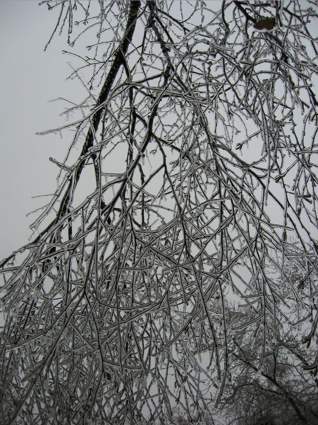 Winter Storm 2002, photo 19