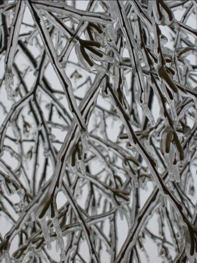 Winter Storm 2002, photo 21