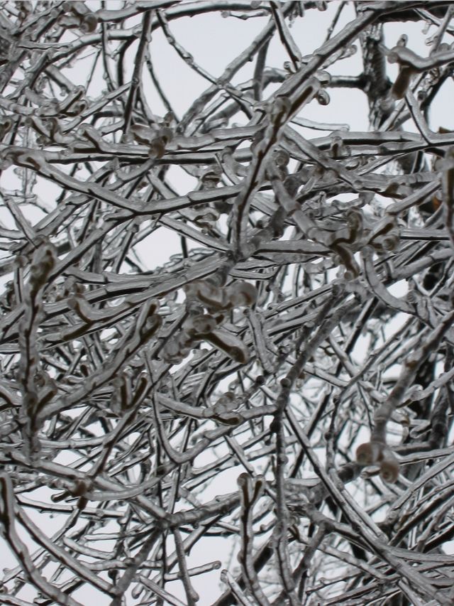 Winter Storm 2002, photo 22