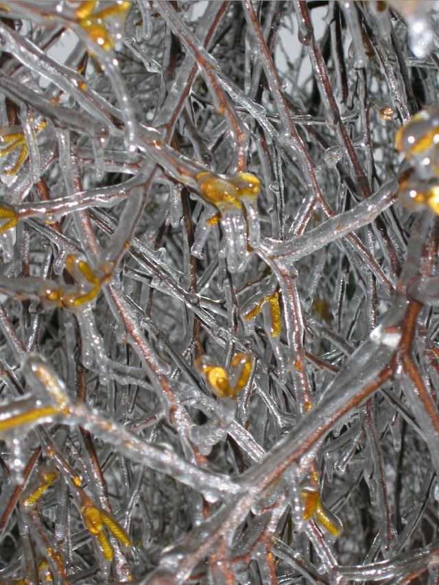 Winter Storm 2002, photo 23