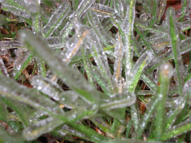 Winter Storm 2002, photo 27